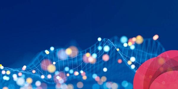 Get Risk Management Insights