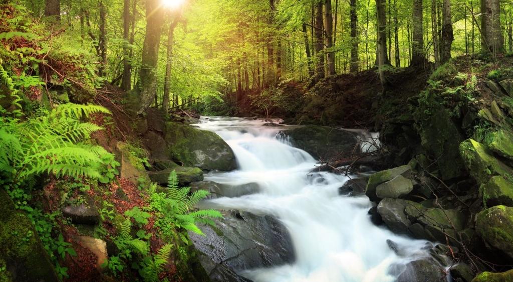 stream and waterfall in the mountains