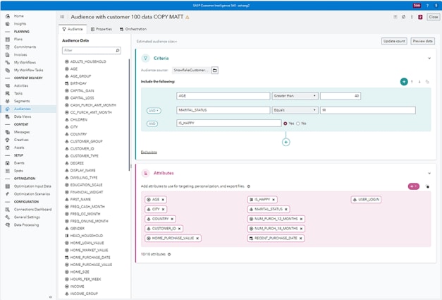 Screenshot showing SAS Customer Intelligence 360 - audience source