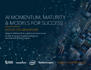 AI Momentum, Maturity & Models for Success: Focus on Singapore