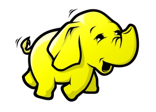 The scoop on Hadoop