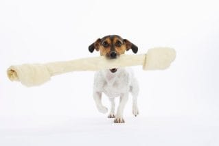 Small but mighty: Modern marketing for the midmarket