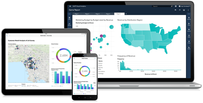 Devices displaying SAS software