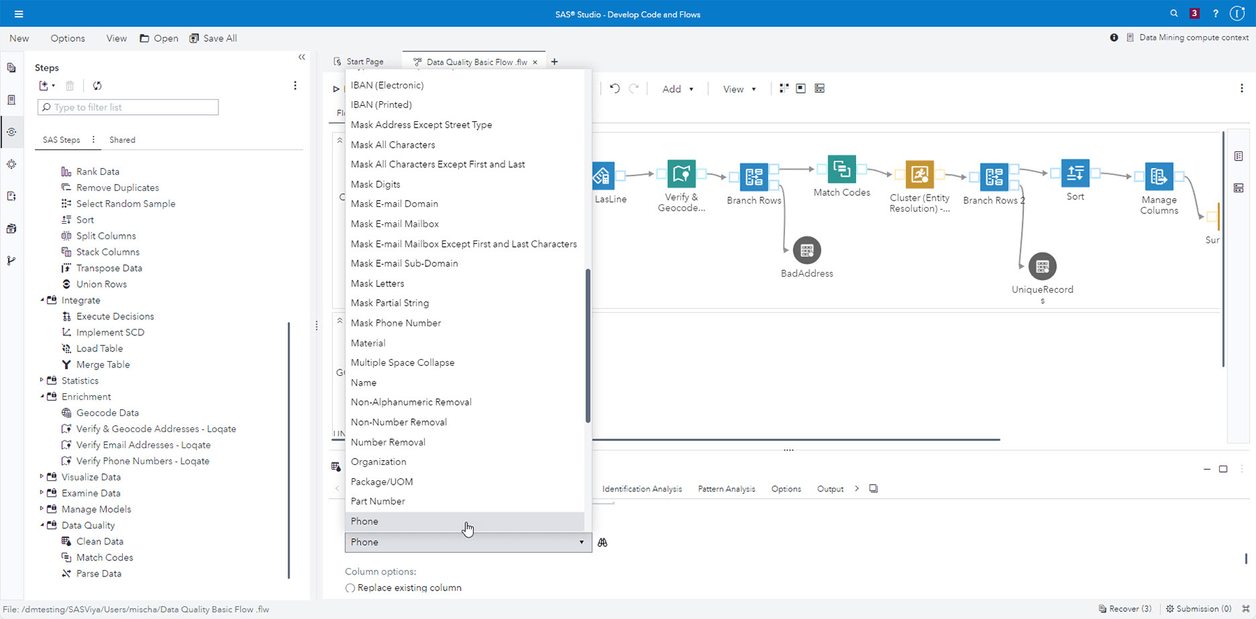 Screenshot showing SAS Data Preparation and Data Quality boost productivity