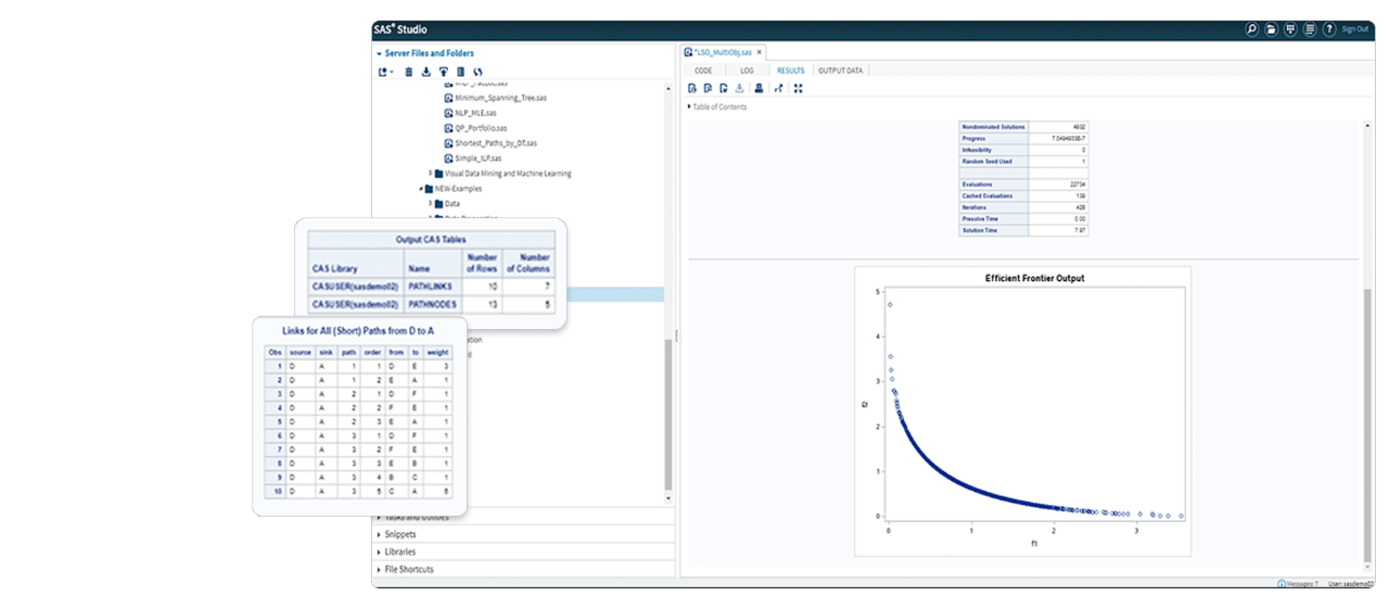 SAS Optimization screenshot composite